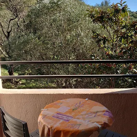 4pa133 Avec Piscine Et Parking Lejlighed Collioure
