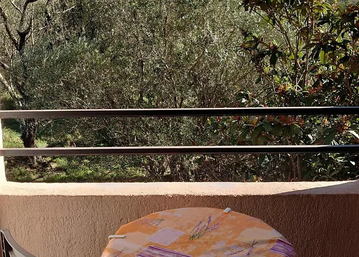 4pa133 Avec Piscine Et Parking Daire Collioure