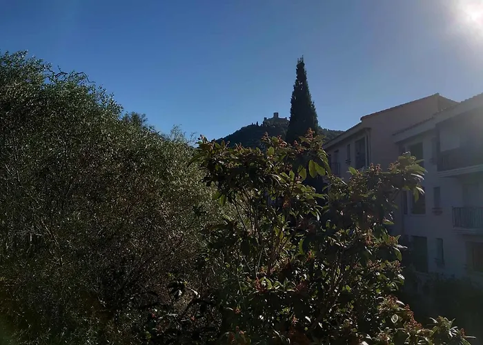 4pa133 Avec Piscine Et Parking Collioure